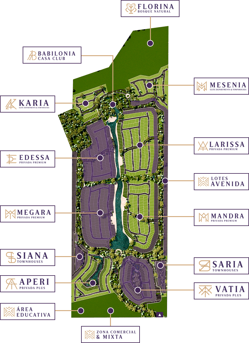 Mesa de trabajo 1 (1)