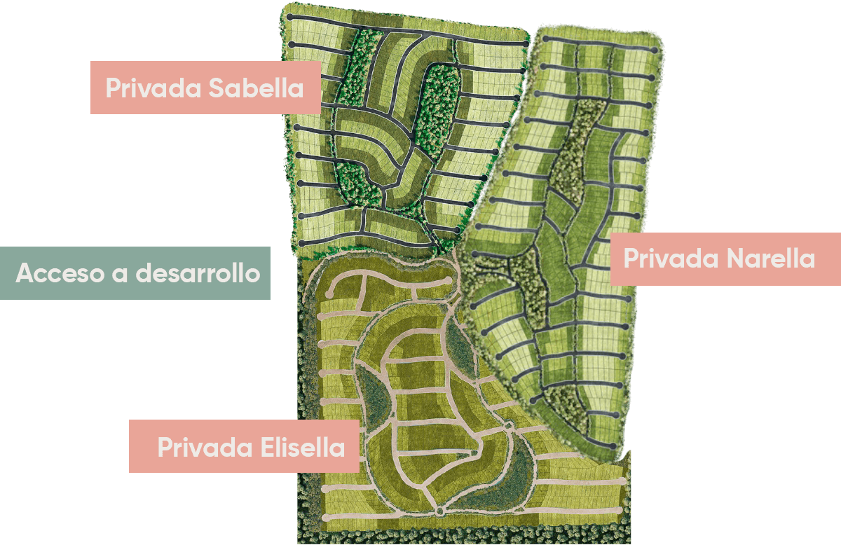 amarea-masterplan-landing